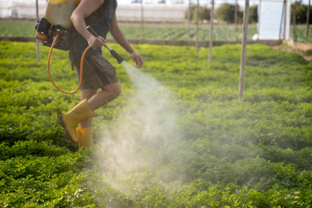 Best Best Pest Control Companies  in Duncan, SC