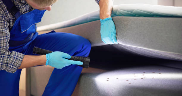 Best Commercial Pest Control Services  in Duncan, SC